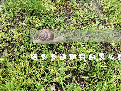 桔多多逾期罚息怎么算 桔多多逾期罚息怎么算