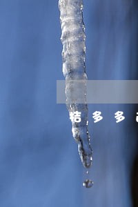 桔多多逾期被仲裁怎么办 桔多多逾期被仲裁怎么办