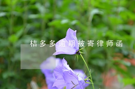 桔多多逾期被寄律师函 桔多多逾期被寄律师函
