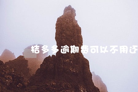 桔多多逾期费可以不用还吗 桔多多逾期费可以不用还吗