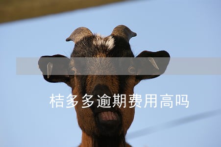 桔多多逾期费用高吗 桔多多逾期费用高吗