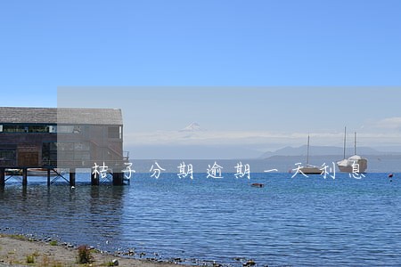 桔子分期逾期一天利息 桔子分期逾期一天利息