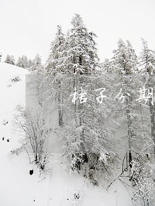 桔子分期逾期一天还了还能借吗 桔子分期逾期一天还了还能借吗