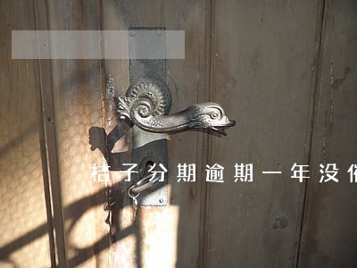 桔子分期逾期一年没催收 桔子分期逾期一年没催收