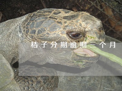 桔子分期逾期三个月 桔子分期逾期三个月