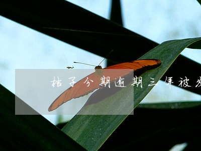 桔子分期逾期三年被发律师函 桔子分期逾期三年被发律师函