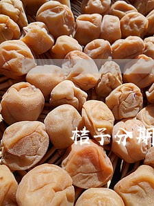桔子分期逾期了会怎么样 桔子分期逾期了会怎么样