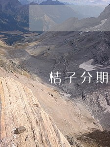 桔子分期逾期了怎么还款 桔子分期逾期了怎么还款