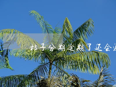 桔子分期逾期了还会涨额度 桔子分期逾期了还会涨额度