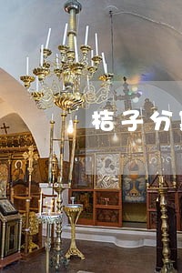 桔子分期逾期会上门催收吗 桔子分期逾期会上门催收吗