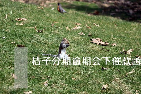 桔子分期逾期会下催款函吗 桔子分期逾期会下催款函吗