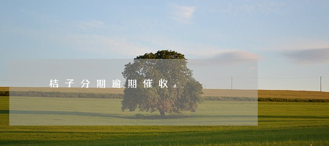 桔子分期逾期催收 桔子分期逾期催收