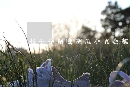 桔子分期逾期几个月会被取消分期 桔子分期逾期几个月会被取消分期