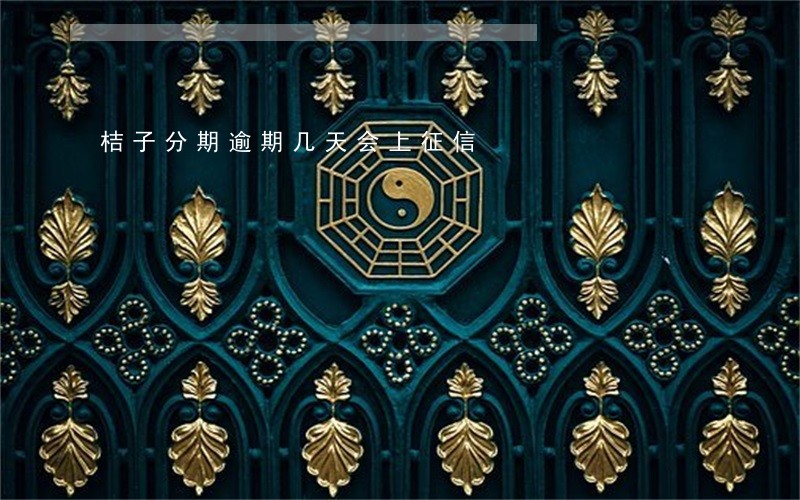 桔子分期逾期几天会上征信 桔子分期逾期几天会上征信