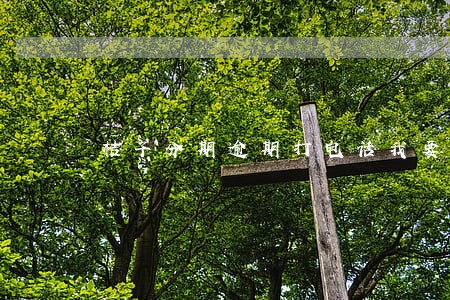 桔子分期逾期打电话我要不要接 桔子分期逾期打电话我要不要接