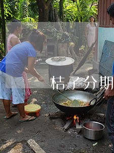 桔子分期逾期案例 桔子分期逾期案例
