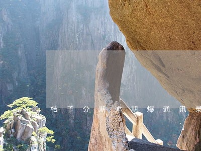 桔子分期逾期爆通讯录吗 桔子分期逾期爆通讯录吗