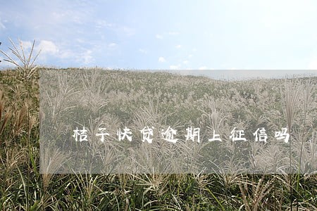 桔子快贷逾期上征信吗 桔子快贷逾期上征信吗