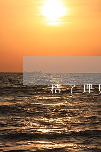 桔子理财借款人逾期 桔子理财借款人逾期