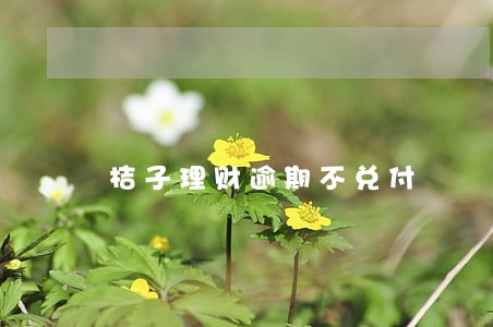 桔子理财逾期不兑付 桔子理财逾期不兑付