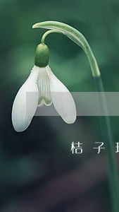 桔子理财逾期多少钱 桔子理财逾期多少钱