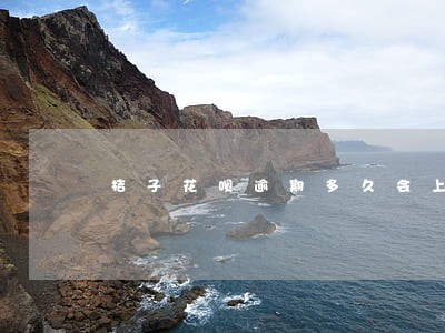 桔子花呗逾期多久会上征信 桔子花呗逾期多久会上征信