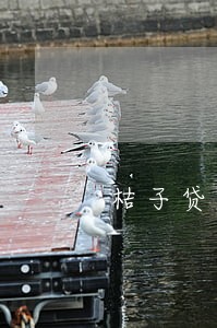 桔子贷款逾期一天会怎样 桔子贷款逾期一天会怎样