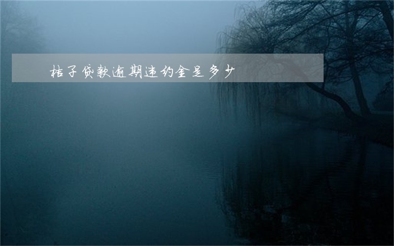 桔子贷款逾期违约金是多少