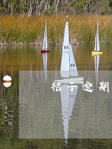 桔子逾期两天会怎样 桔子逾期两天会怎样