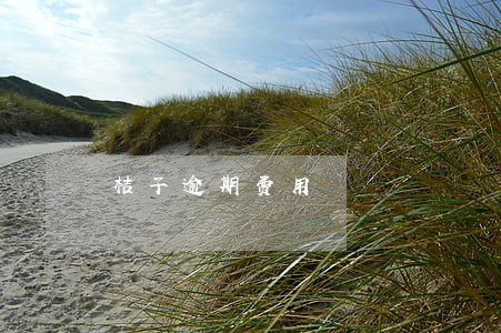 桔子逾期费用