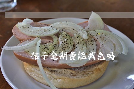 桔子逾期费能减免吗 桔子逾期费能减免吗