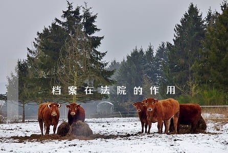 档案在法院的作用 档案在法院的作用