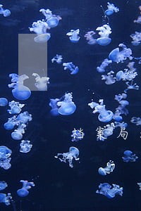 档案局法律顾问工作制度 档案局法律顾问工作制度