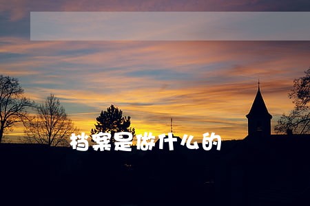 档案是做什么的