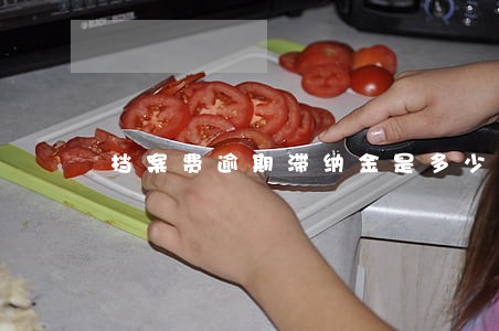 档案费逾期滞纳金是多少