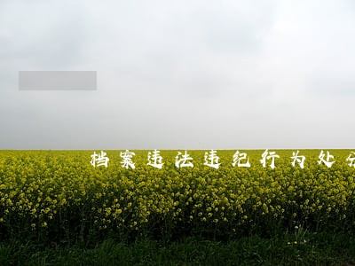 档案违法违纪行为处分规定最新 档案违法违纪行为处分规定最新