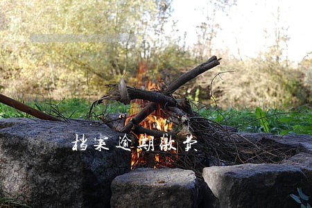 档案逾期缴费