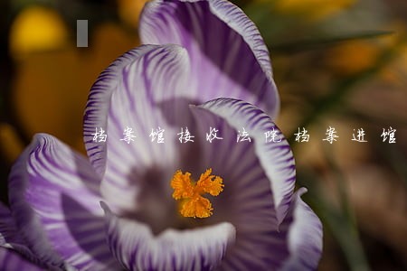 档案馆接收法院档案进馆 档案馆接收法院档案进馆