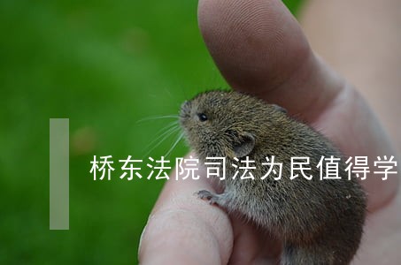 桥东法院司法为民值得学习 桥东法院司法为民值得学习