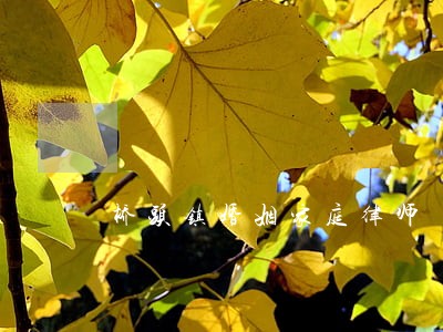 桥头镇婚姻家庭律师 桥头镇婚姻家庭律师