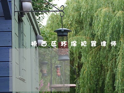 桥西区环保犯罪律师 桥西区环保犯罪律师
