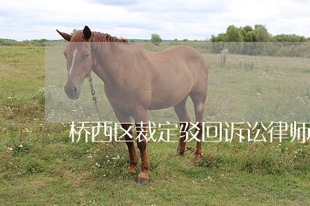 桥西区裁定驳回诉讼律师 桥西区裁定驳回诉讼律师