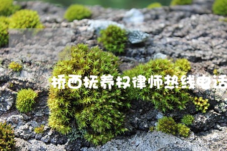 桥西抚养权律师热线电话 桥西抚养权律师热线电话