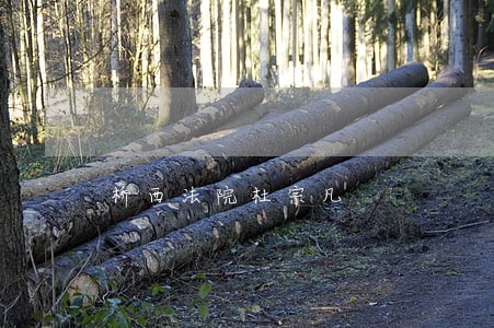 桥西法院杜宗凡 桥西法院杜宗凡