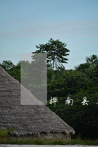 桦南县合同审查在线律师 桦南县合同审查在线律师