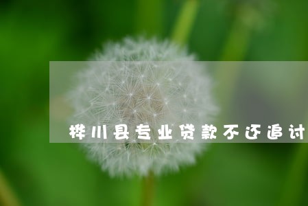 桦川县专业贷款不还追讨律师 桦川县专业贷款不还追讨律师
