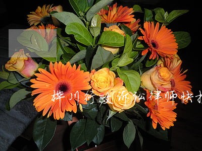 桦川行政诉讼律师快报 桦川行政诉讼律师快报