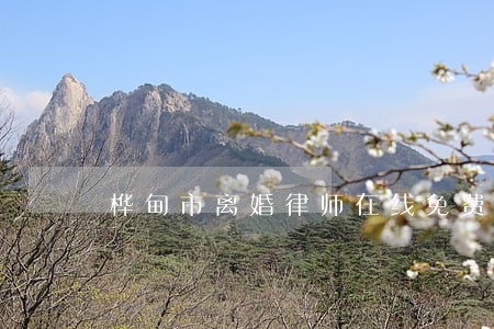 桦甸市离婚律师在线免费咨询