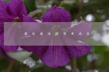 梁化成法院学术论文