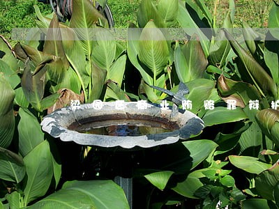 梁园区商业贿赂罪辩护纠纷律师